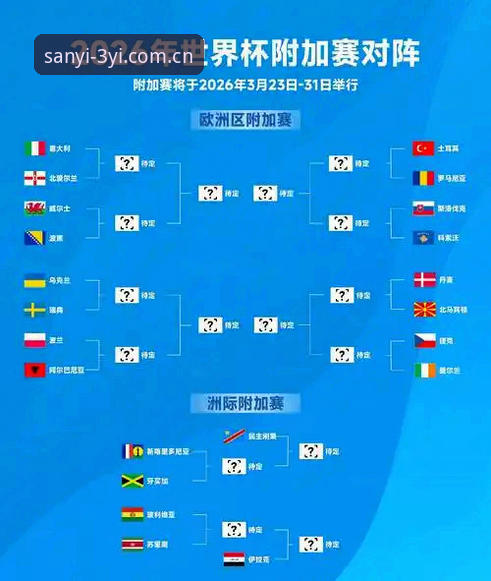 世界杯观赛障碍详解：签证与地缘政治如何影响赛事热度
